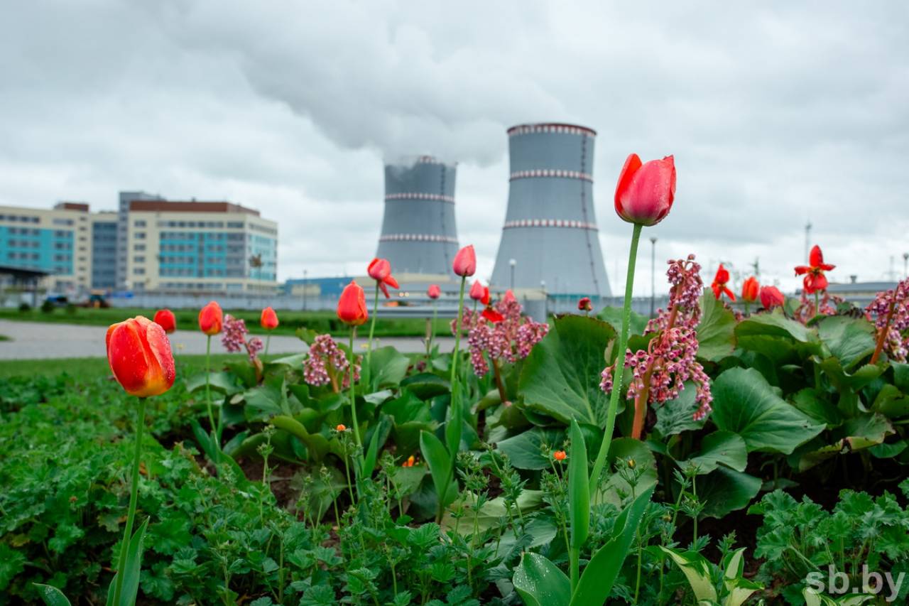 Хранилище для отходов БелАЭС может появиться в «чернобыльской» зоне, но не исключен и вариант с их размещением в Гродненской области