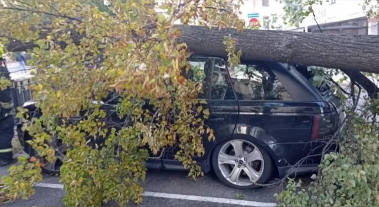 Последствия штормового ветра: в Гродненской области зафиксировано падение 42 деревьев, электроснабжение восстановлено в 140 населенных пунктах
