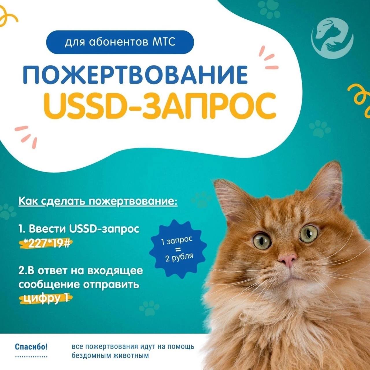 Всего 2 рубля, и вы поможете бездомным животным в Гродно. Рассказываем, как легко это сделать