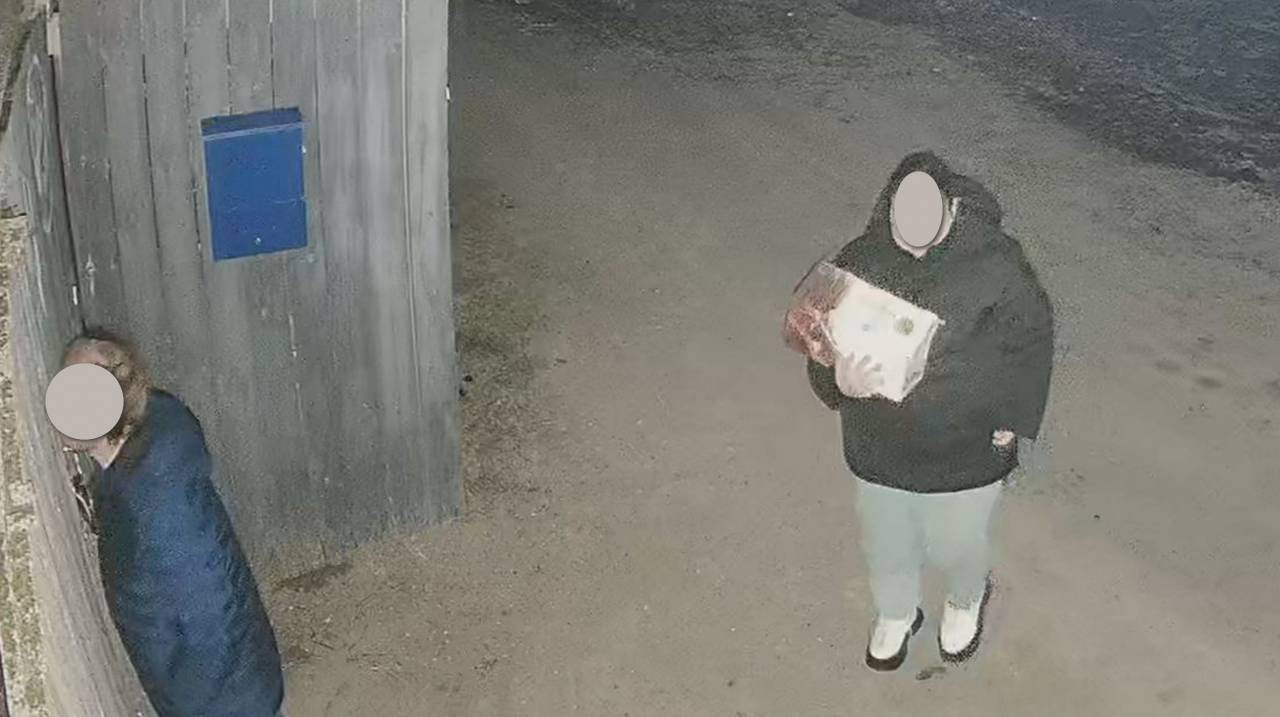 В Гродно нашли женщину, которая оставила новорожденных щенков на морозе. Её будут судить