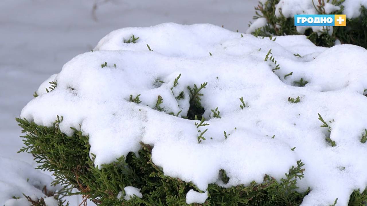 20 дней оттепельной погоды: в декабре в Гродненскую область ждут температурные качели