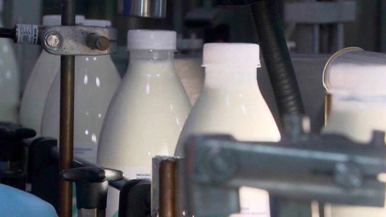 В России выявили фейковую компанию «Лидское молоко». Несуществующее предприятие производило сыр и масло, несоответствующие нормам