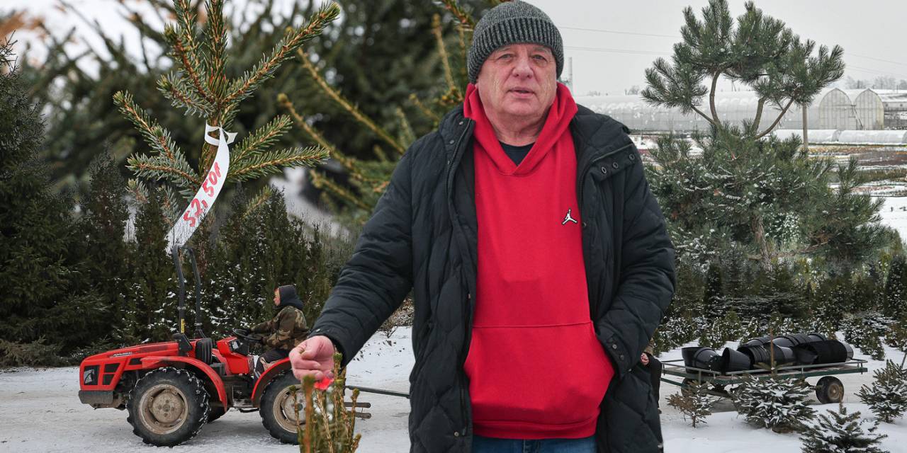 Гродненец выращивает элитные елки, которые сейчас продает по всей Беларуси