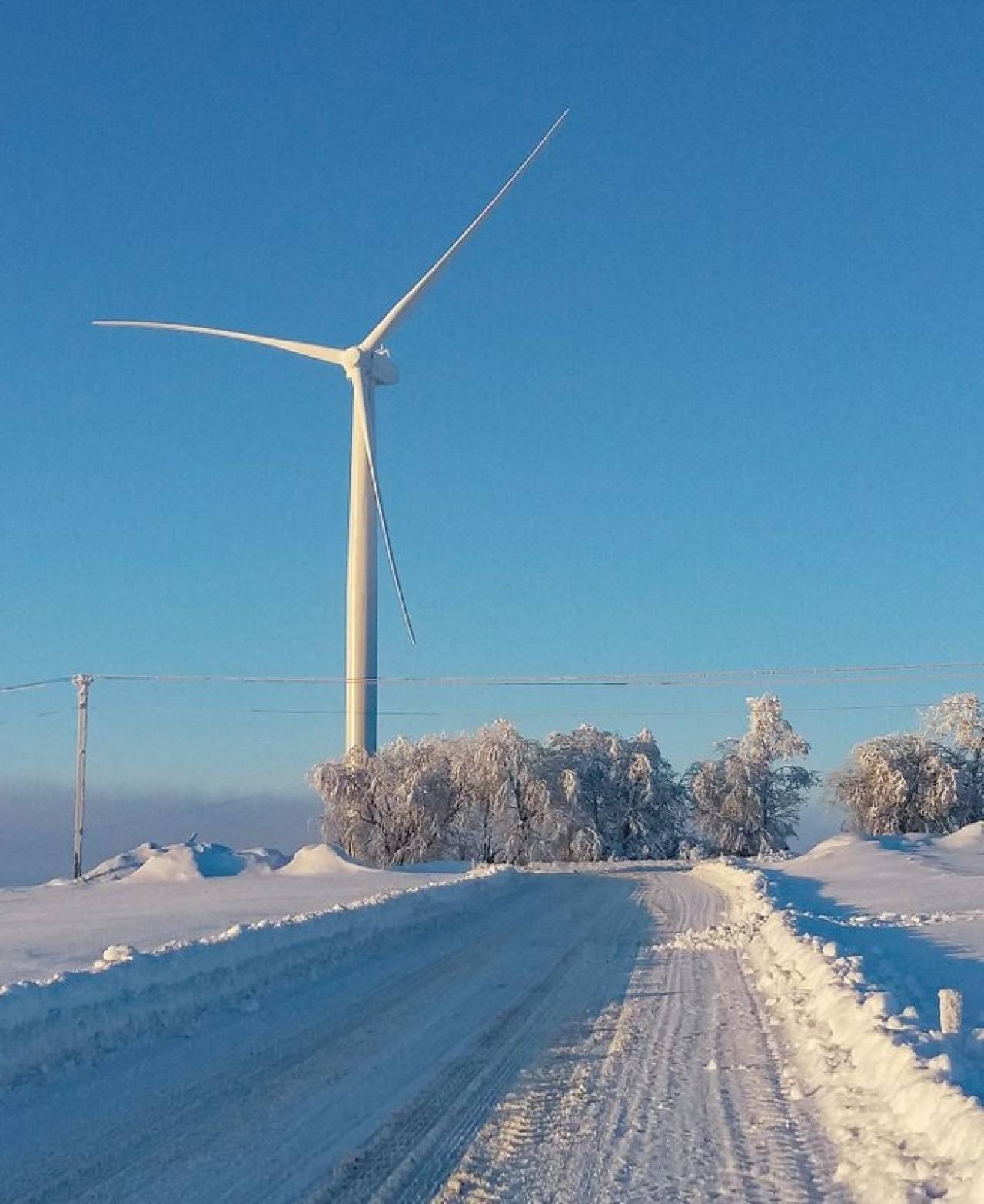 Репортаж: как работает Новогрудская ветроэлектростанция зимой
