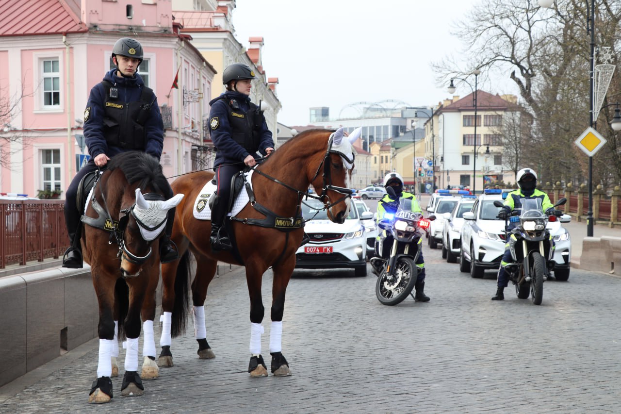 В Гродно могут возродить конную милицию