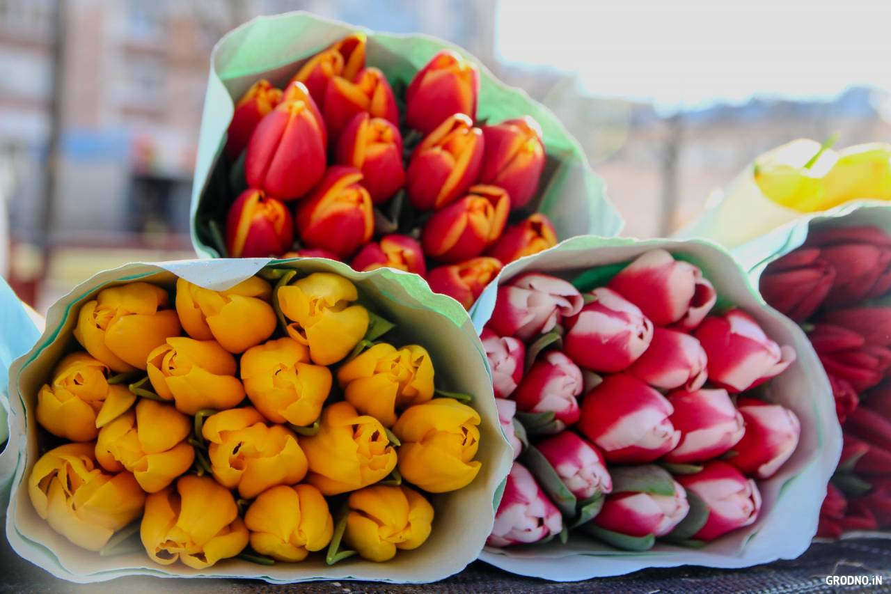 Тюльпаны от 2 рублей: посмотрели, что с ценами на цветы в Гродно