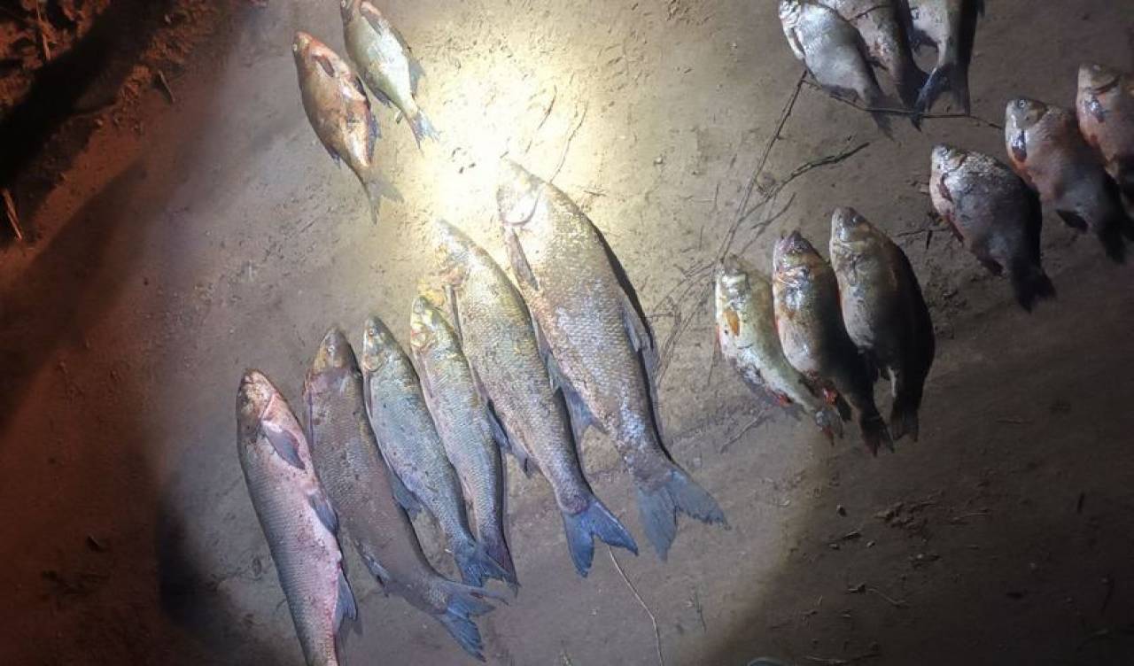 Для жителя Слонимского района рыбалка закончилась уголовной статьей