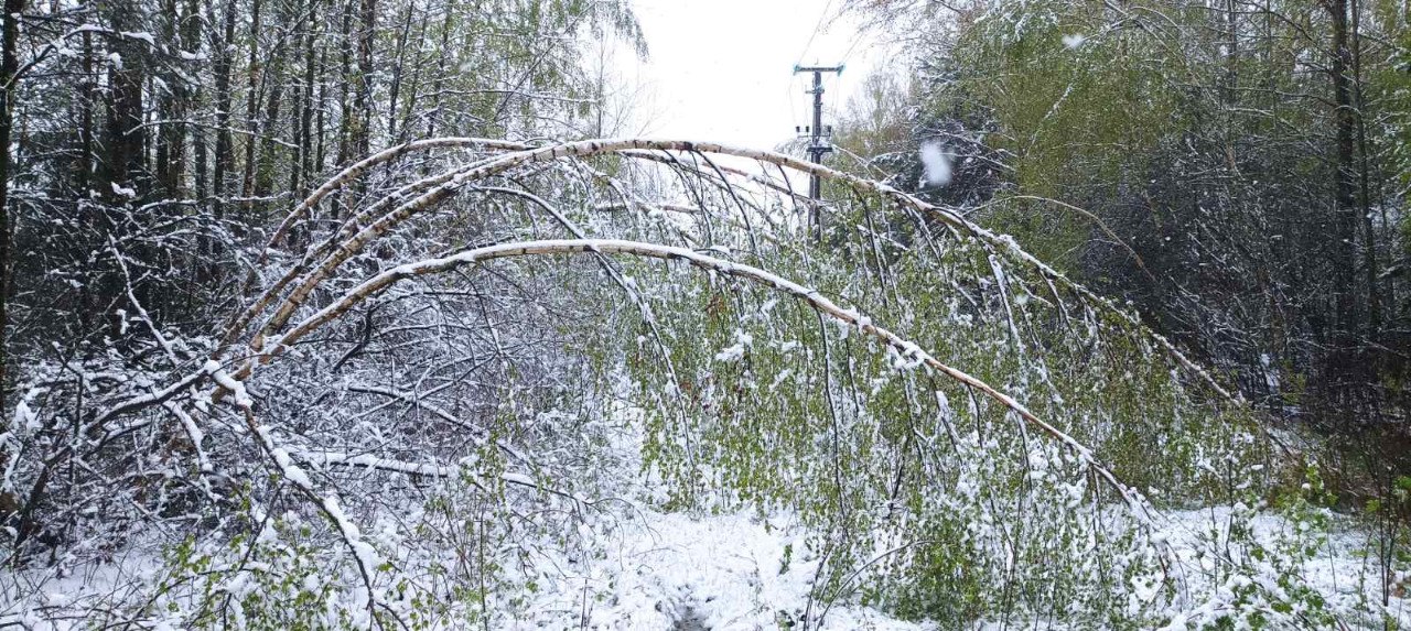 Апрельский снег добавил хлопот: энергетики восстанавливают электроснабжение в Гродненской области