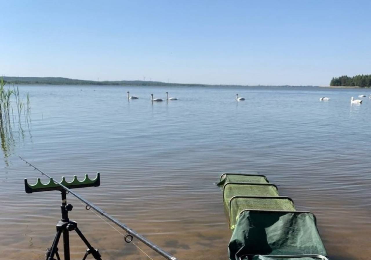 «Скучать не приходится»: рыбаки Гродненской области рассказали о клеве и улове на Зельвенском водохранилище