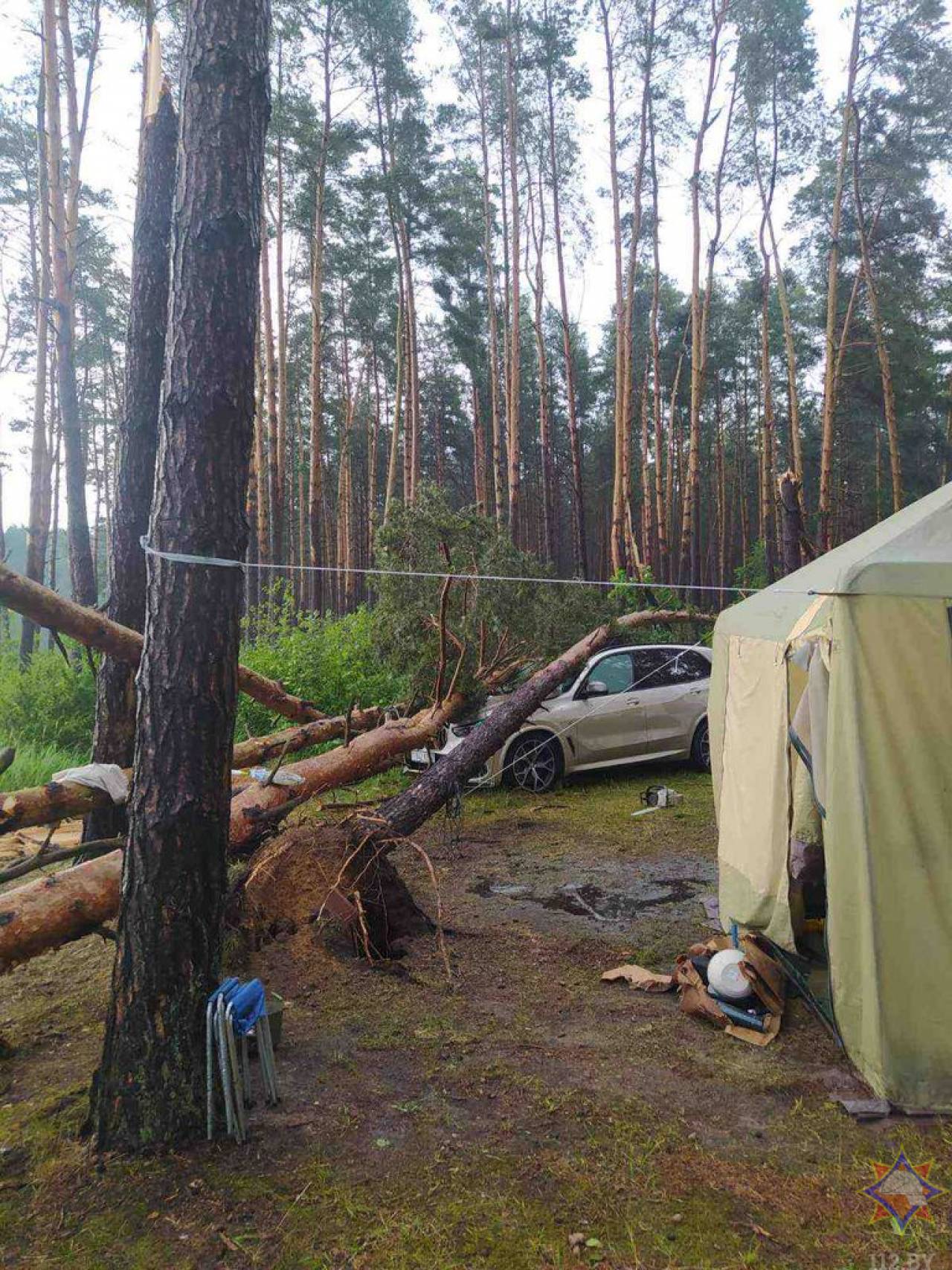 В МЧС рассказали о последствиях ураганного ветра в Гродненской области