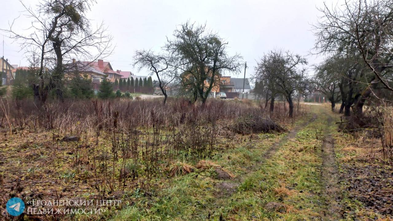 Пустые и с недостроем: в Гродно на аукцион выставили 6 земельных участков