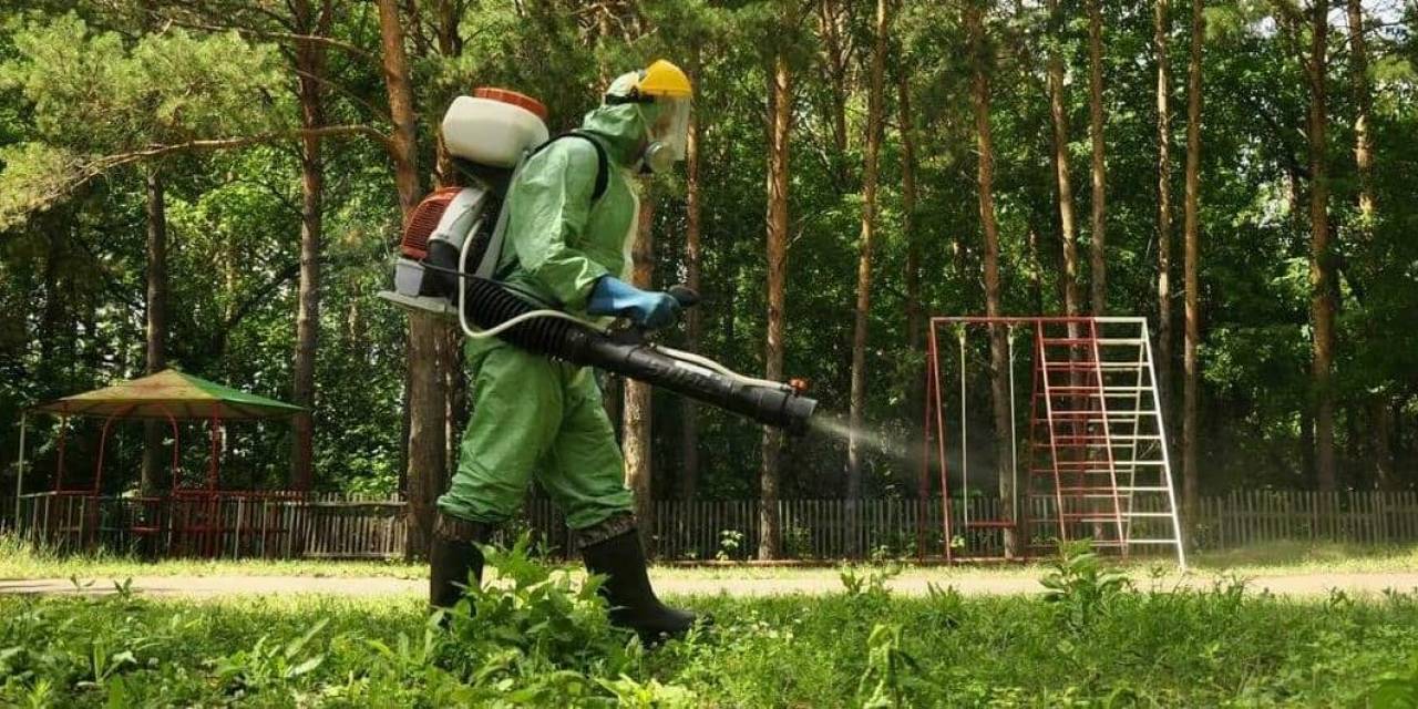 На будущей неделе популярные места отдыха в Гродно будут обрабатывать от клещей