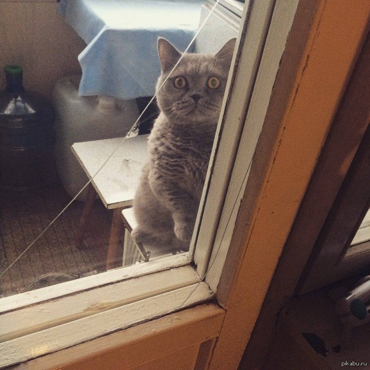 Ночью в Гродно мужчина ради шутки запер подругу на балконе, но уснул. Выручили сотрудники милиции