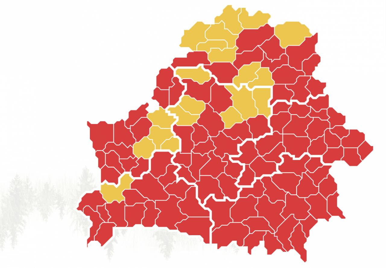 Всего лишь в 4 районах Гродненской области разрешено заходить в лес