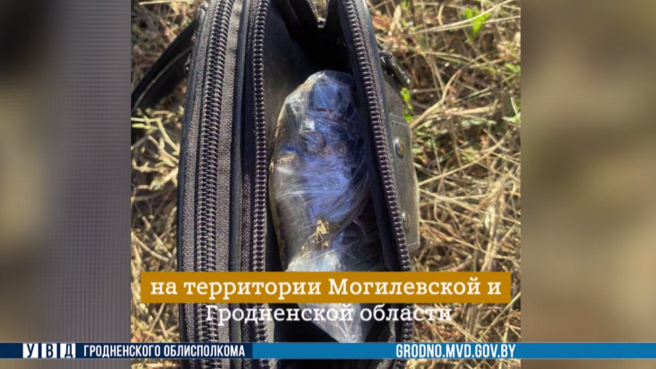 Наркодилеры обещают анонимность, но обманывают. Закладчик из Гродно задержан на востоке страны