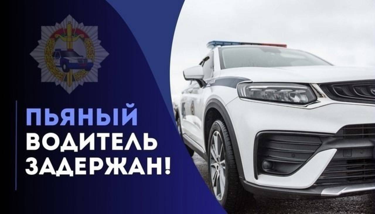 На трассе под Гродно очевидцы заметили виляющую по дороге фуру и позвонили в ГАИ: за рулем оказался пьянющий водитель из Могилева