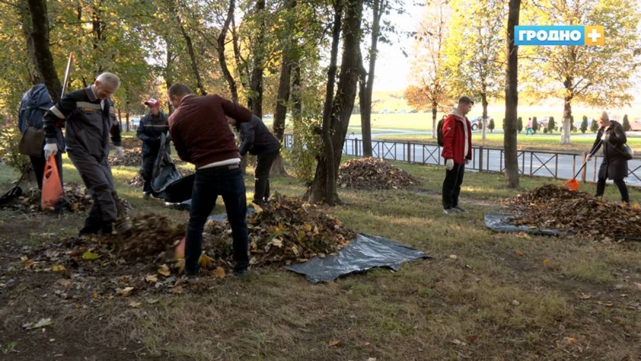 В Гродно пришла осень: около 40 тонн листвы убирают за день в городе коммунальники