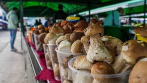 В Беларуси может появиться налог для грибников и огородников