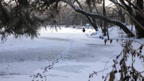 Сразу десять рыбаков провалились под лед в Зельвенском районе в темноте