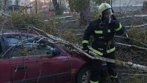 Пострадали практически все районы Гродненской области: В МЧС подвели итоги разрушений, которые принес сильный ветер