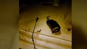 В Лиде прохожие задержали пьяного мужчину, который посреди ночи вырывал у автомобилей номерные знаки