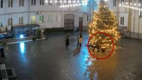 В Гродно разыскивают молодого человека, который 1 января из-под елки прихватил чужой рюкзак с ноутбуком