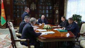 «Безответственность полнейшая»: Лукашенко недоволен темпами посадок в лесах