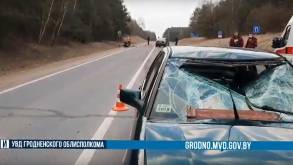 Под Гродно легковушка протаранила попутный мотоблок: его водитель погиб на месте