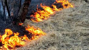 В Гродненской области запретили сжигать мусор и старую траву на придомовых участках и на дачах