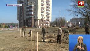Плюс 12 000: в Гродно начали сажать деревья