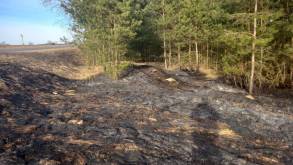 В Гродненской области за сутки при пожарах погибли два человека: один в поле, второй - в доме