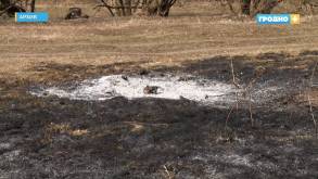 Теплая весна: На Гродненщине горит сухая трава, а в лесах фиксируют пожары