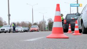 За два часа у 400 остановленных водителей нарушения выявили у 40 из них: ГАИ провела «фильтр» в Колбасино