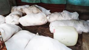 В Скиделе с участием работников птицефабрики похитили более 600 кг продукции: милиция провела спецоперацию, чтобы задержать всех