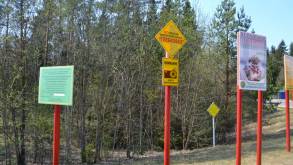 Из-за дождей: в Гродненской области несколько ослабили запреты на посещение лесов