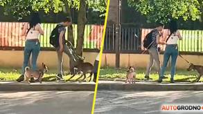Гродненец бил собаку у парковки на Клецкова: его увезли в милицию после звонка очевидца (видео 18+)