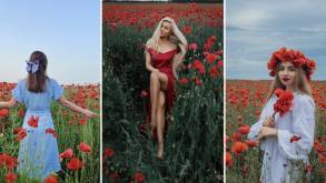 Белоруски облюбовали новую локацию для красивых фото — цветущее маковое поле под Лидой
