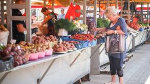 Радиоактивные грибы, свекла и кабачки с нитратами: на Скидельском рынке в Гродно рассказали, какую продукцию бракуют чаще всего