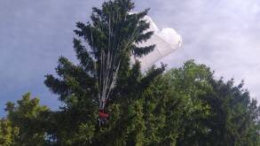 Помощь пришла быстро: в Гродно парашютистка застряла на дереве прямо на территории пожарного отряда