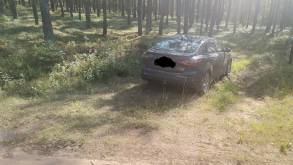 В Гродненской области водители заехали в лес во время запретов и попались на фотоловушки. Что им за это было?