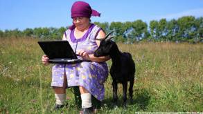 В Беларуси будут развивать интернет-торговлю на селе