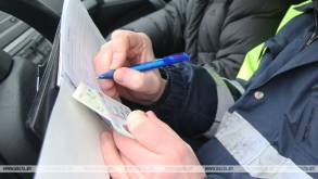 В ГАИ констатируют, что в Беларуси все больше водителей с просроченными «правами»
