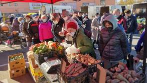 Овощи, фрукты и саженцы: этой осенью в Гродно будут работать три сельхозярмарки
