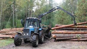 Минлесхоз установил размер штрафа за нецелевое использование деловой древесины, которую со скидкой будут продавать белорусам
