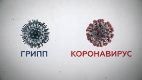 Гриппа в Беларуси пока нет, но и коронавирус никуда не делся