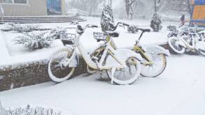 Стабильный «минус» и снег: погода в Гродно на выходные