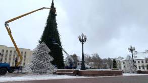 В Гродно установили главные елки на центральных площадях