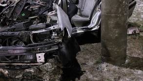 Серьезная авария на кольцевой в Гродно — Peugeot ушел с проезжей части в столб, водитель госпитализирован