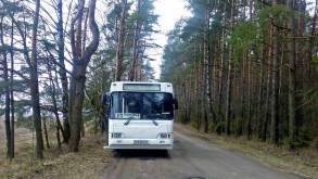 На время школьных каникул автобусы из Гродно в Коробчицы, Гожу и Наумовичи будут ходить реже