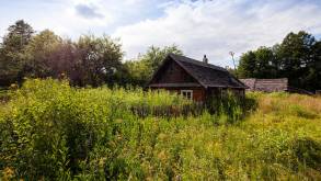 В Беларуси создан Единый реестр пустующих домов. Некоторые можно будет купить